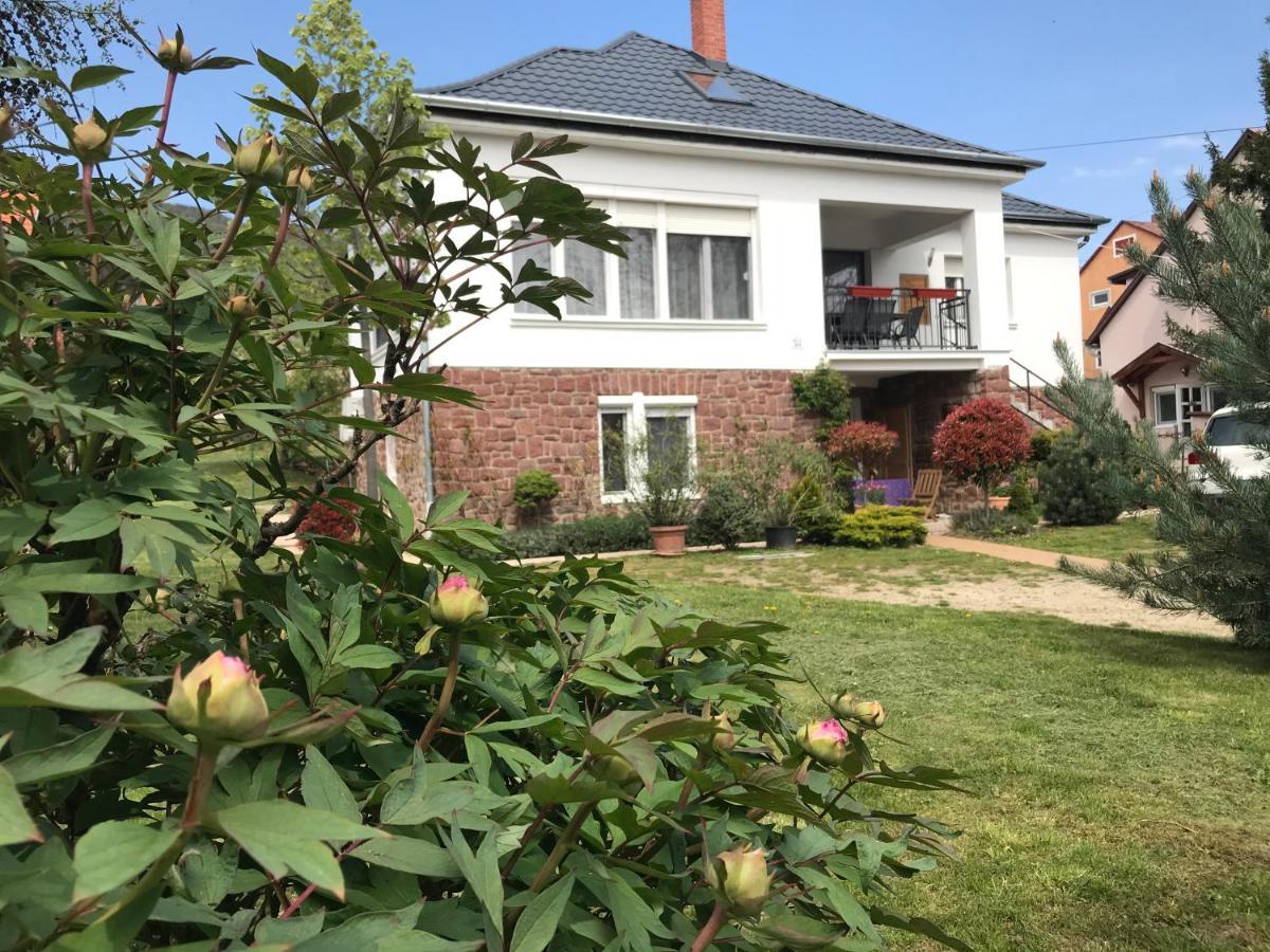 Levendula Apartmanhaz Badacsonytomaj Zewnętrze zdjęcie