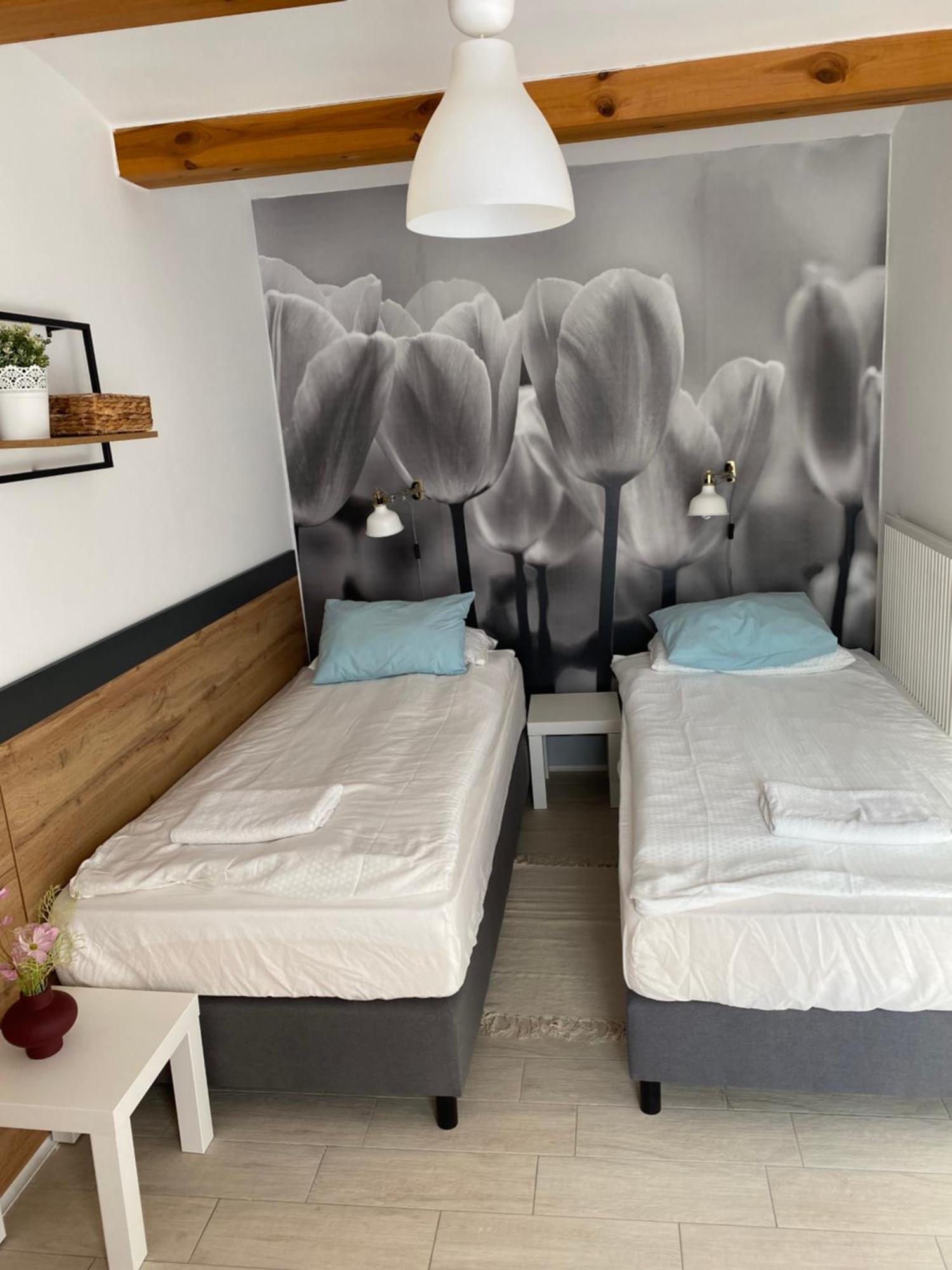 Levendula Apartmanhaz Badacsonytomaj Zewnętrze zdjęcie